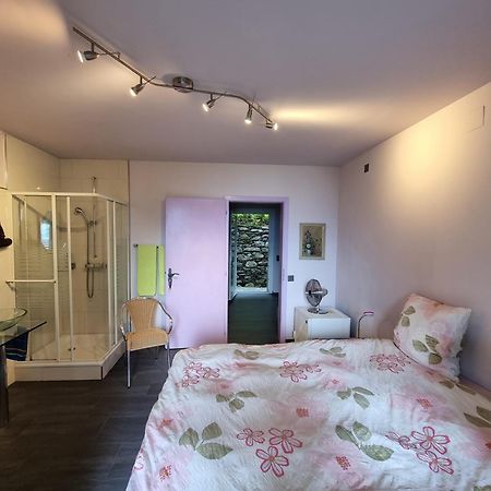 Residence Venus Garden Brissago Cameră foto