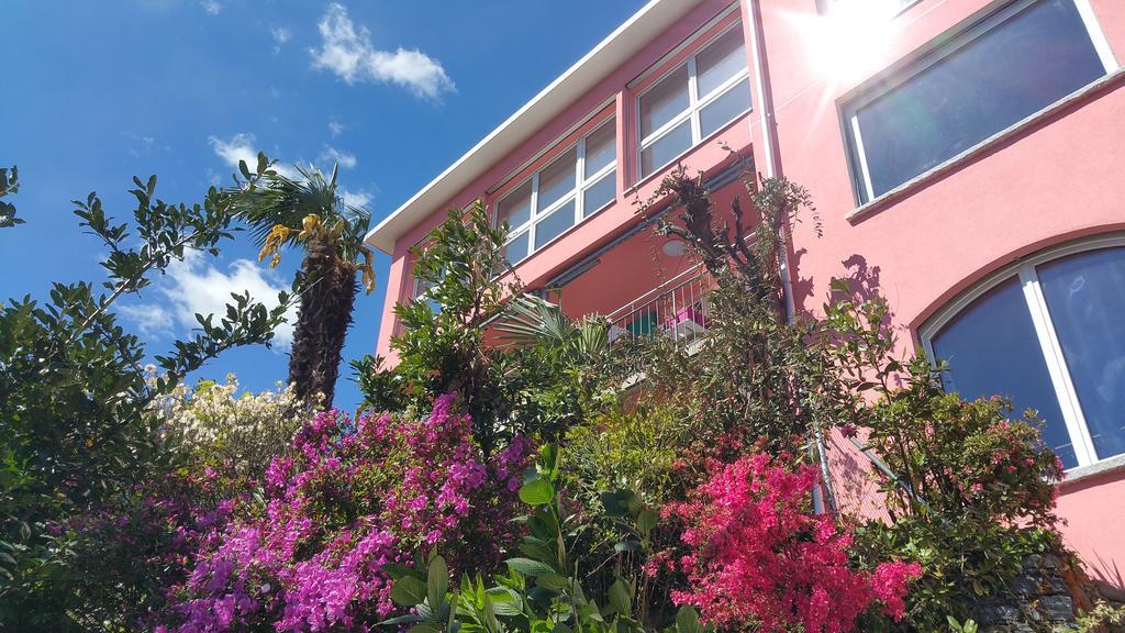 Residence Venus Garden Brissago Cameră foto