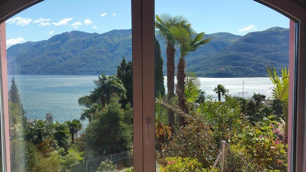 Residence Venus Garden Brissago Cameră foto