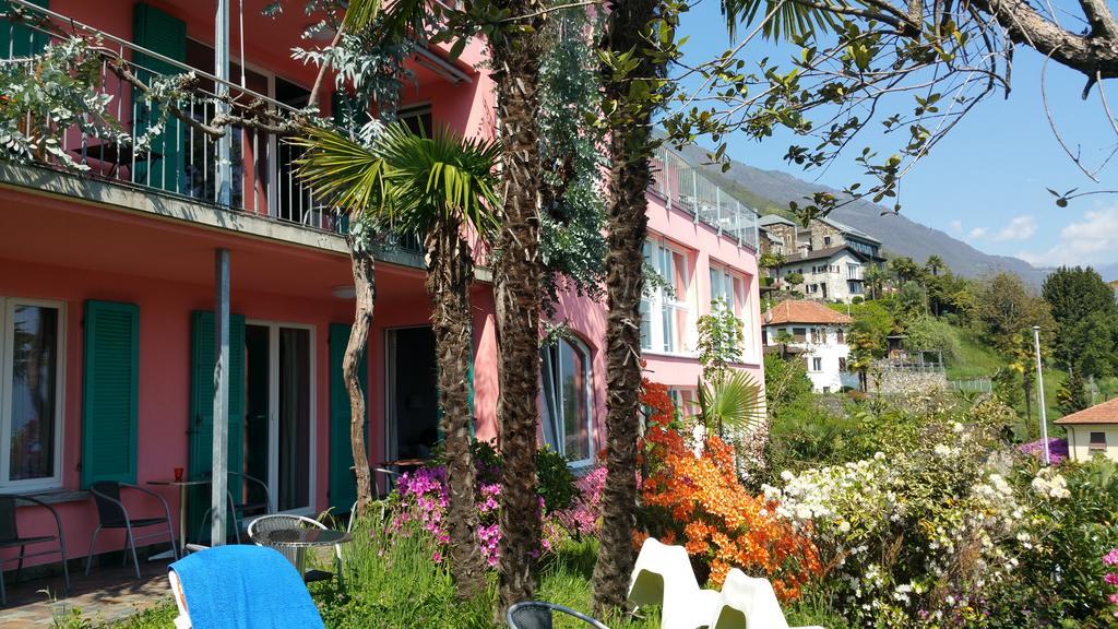 Residence Venus Garden Brissago Exterior foto